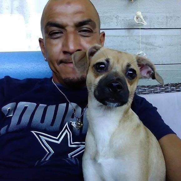 Meet your Posher, Omar - Picture 1 of 1